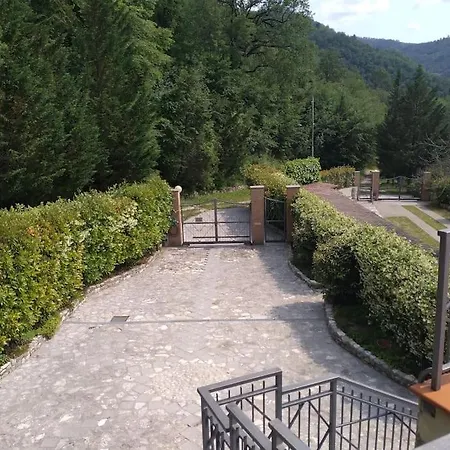 In Nel Bosco *